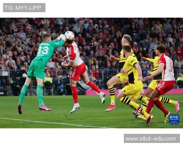 2016年德甲经典对决拜仁慕尼黑与多特蒙德的巅峰之战回顾