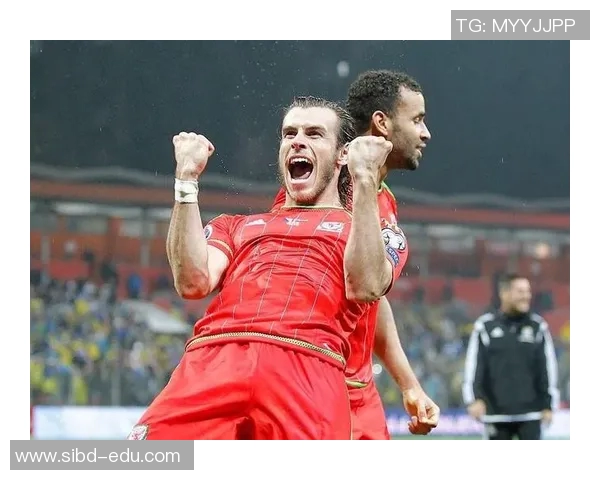 墨西哥与威尔士精彩对决视频回顾及赛后分析分享 墨西哥与威尔士精彩对决视频回顾及赛后分析分享