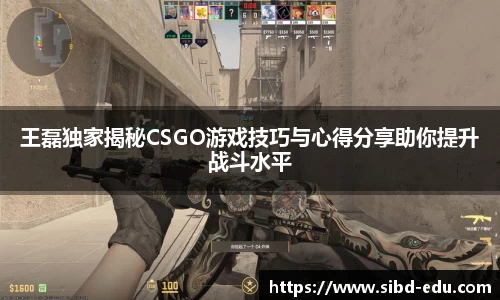 王磊独家揭秘CSGO游戏技巧与心得分享助你提升战斗水平