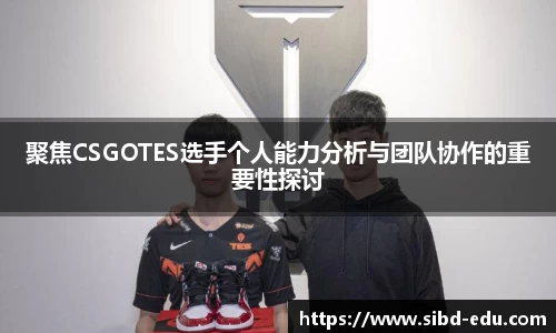 聚焦CSGOTES选手个人能力分析与团队协作的重要性探讨