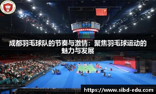 成都羽毛球队的节奏与激情：聚焦羽毛球运动的魅力与发展