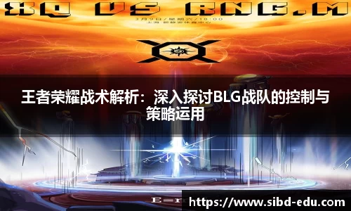 王者荣耀战术解析：深入探讨BLG战队的控制与策略运用