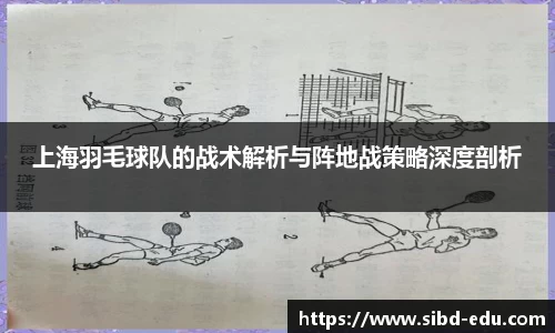 上海羽毛球队的战术解析与阵地战策略深度剖析